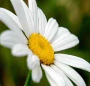 Це потрібно знати про туберкульоз!