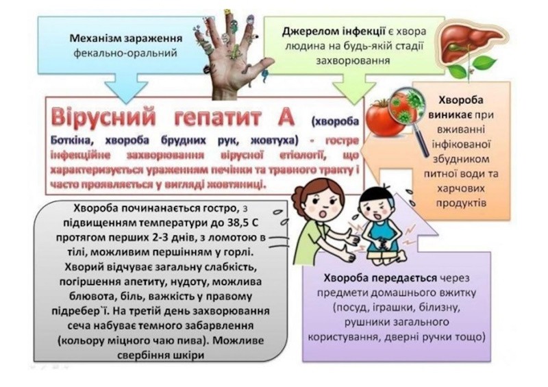 Шляхи передачі вірусних гепатитів